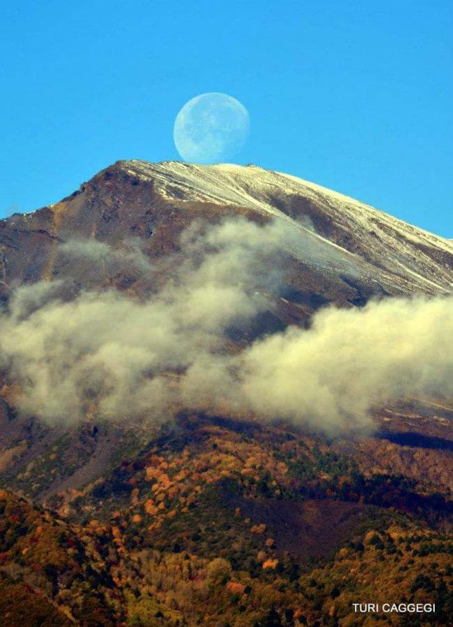 Guest House Le Ginestre Dell'Etna بيلباسو المظهر الخارجي الصورة